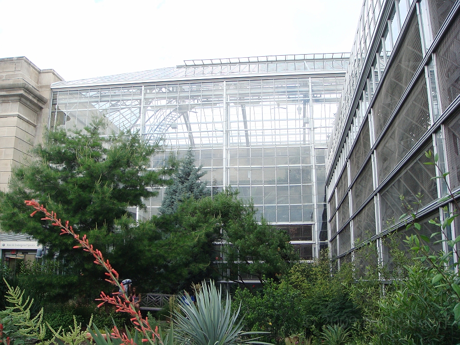 Washington DC [2009 July 04] 089.JPG - Scenes from The United States Botanic Garden
